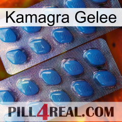 Kamagra Jelly viagra2